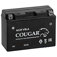  Аккумулятор мото COUGAR YB16AL-A2
